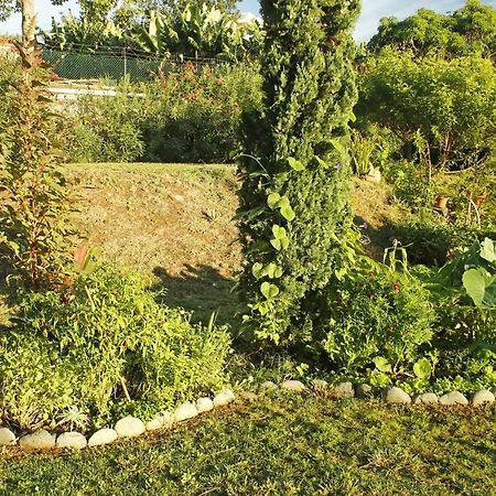 Rochas Shared Apart Garden Refuge Funchal Dış mekan fotoğraf